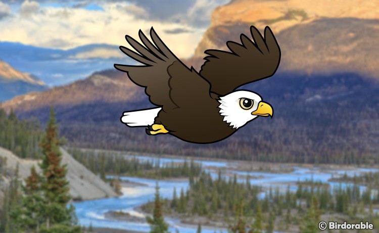 Birdorable Bald Eagle flying in Alaska