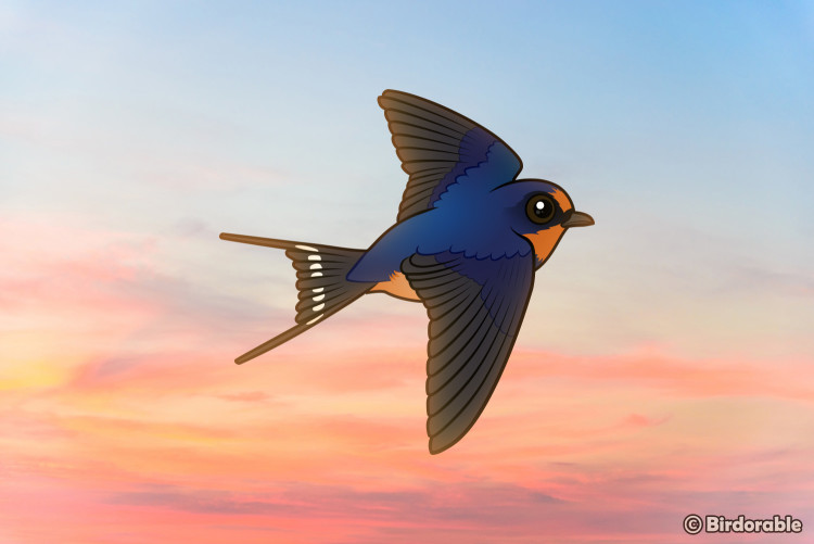 Birdorable Barn Swallow flying