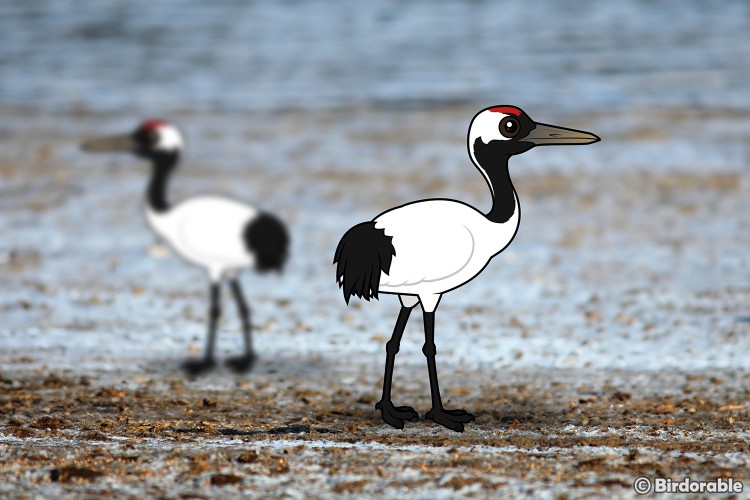 Birdorable Red-crowned Cranes