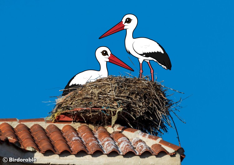 Birdorable White Storks