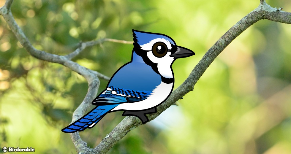 Birdorable Blue Jay perched on a tree branch