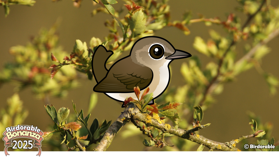 Birdorable Garden Warbler