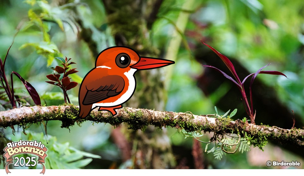 Birdorable Madagascar Pygmy Kingfisher