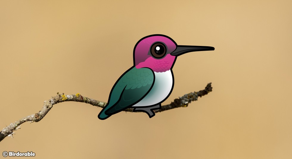 Birdorable Bee Hummingbird
