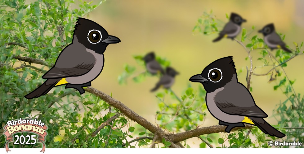 Birdorable White-spectacled Bulbul