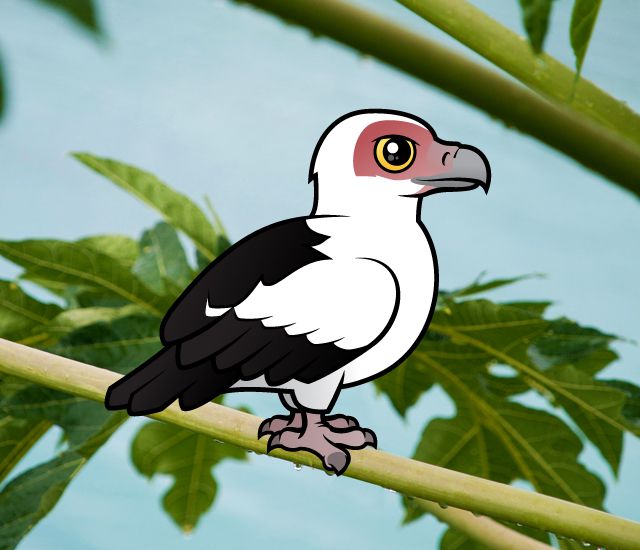 Birdorable Palm-nut Vulture