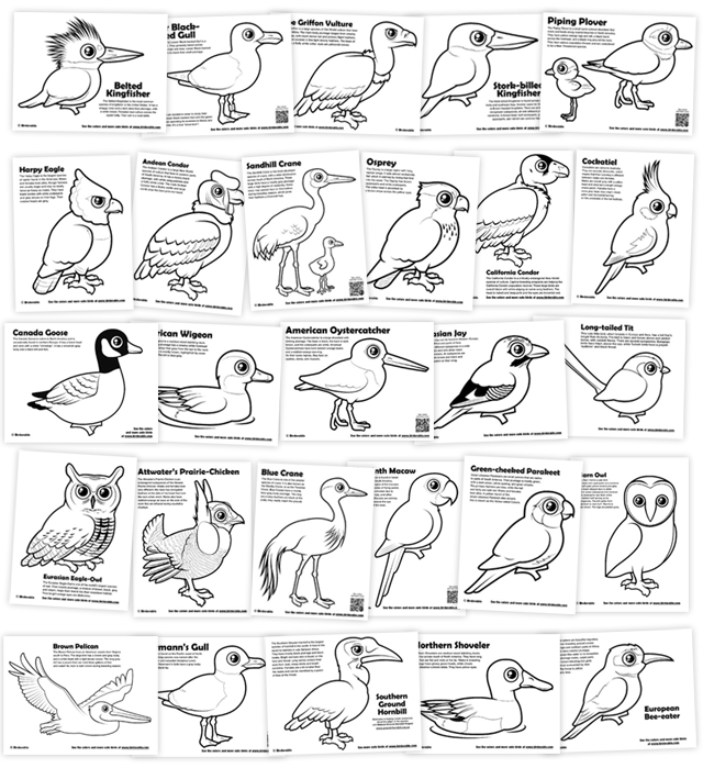 Birdorable Coloring Pages with Cute Birds
