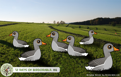 Six Birdorable Greylag Geese-a-Laying