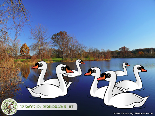 Seven Birdorable Mute Swans-a-Swimming