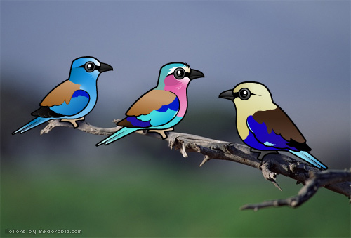 Birdorable European Roller, Lilac-breasted Roller & Blue-bellied Roller