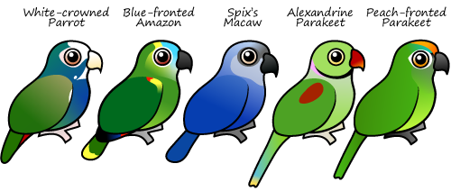 Five new Birdorable Parrots