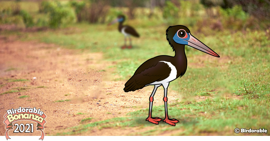 Birdorable Abdim's Stork