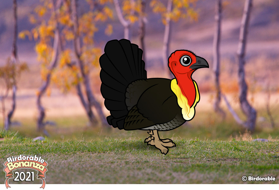Birdorable Australian Brushturkey
