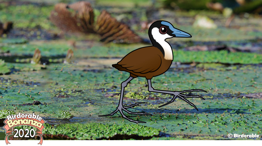 Birdorable African Jacana