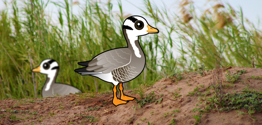 Birdorable Bar-headed Goose