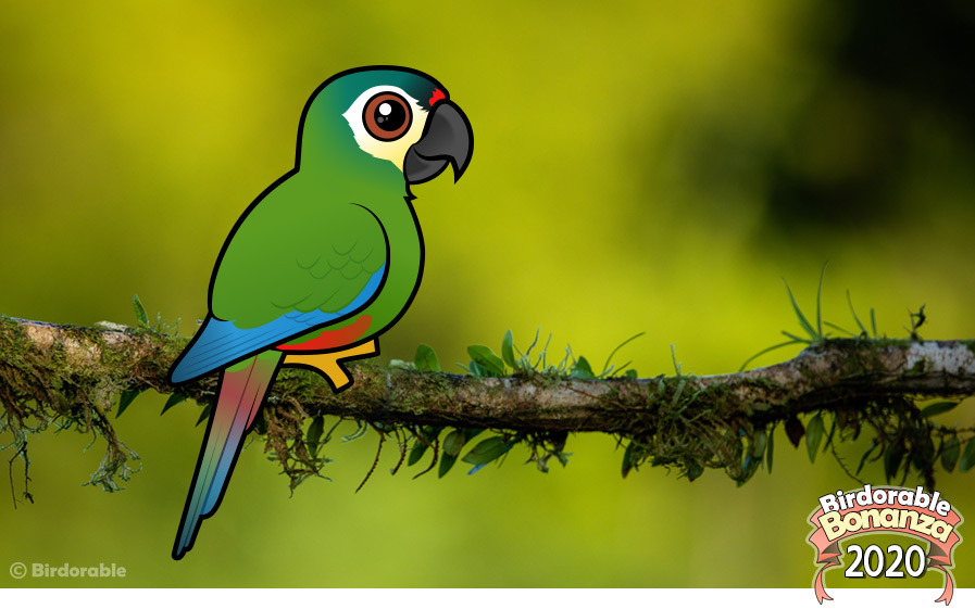 Birdorable Blue-winged Macaw
