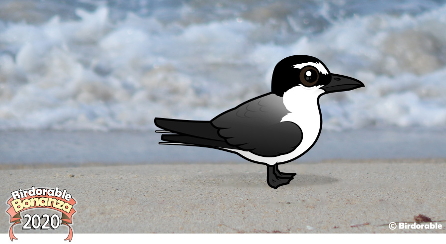 Birdorable Bridled Tern