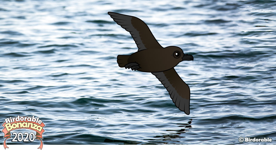 Birdorable Christmas Shearwater