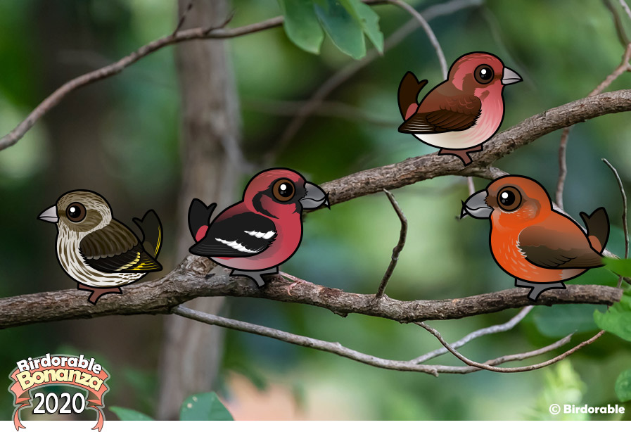 Birdorable North American Finches