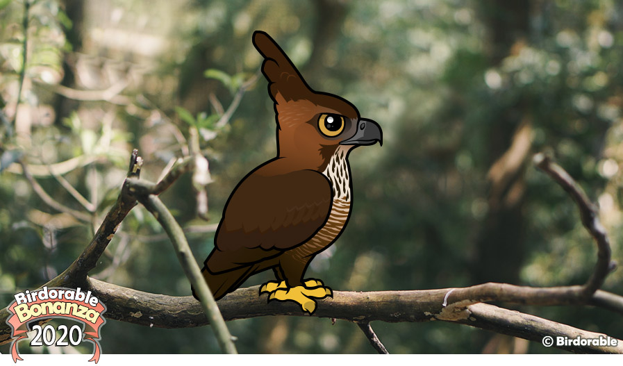 Birdorable Javan Hawk-Eagle