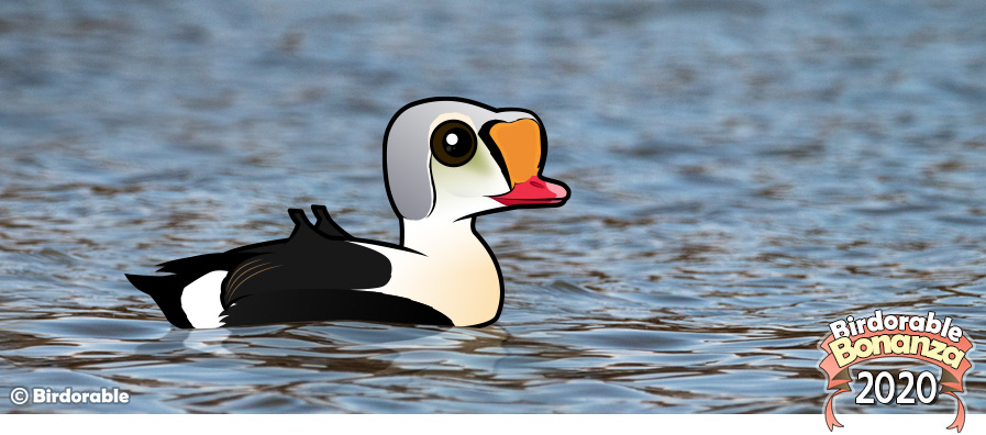 Birdorable King Eider