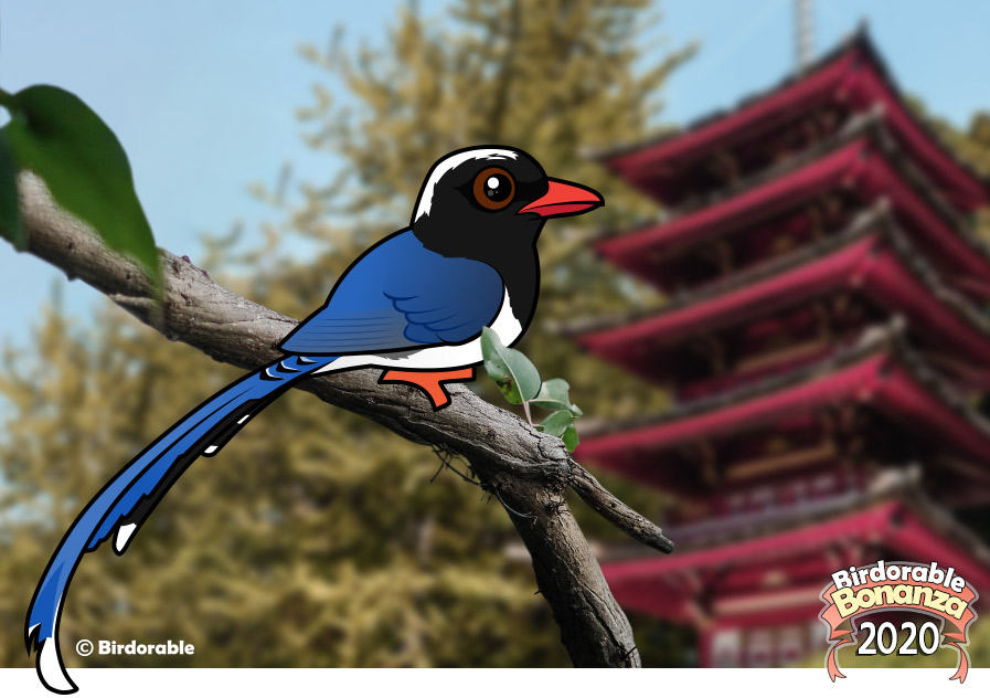 Birdorable Red-billed Blue-Magpie