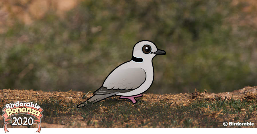 Birdorable Ring-necked Dove