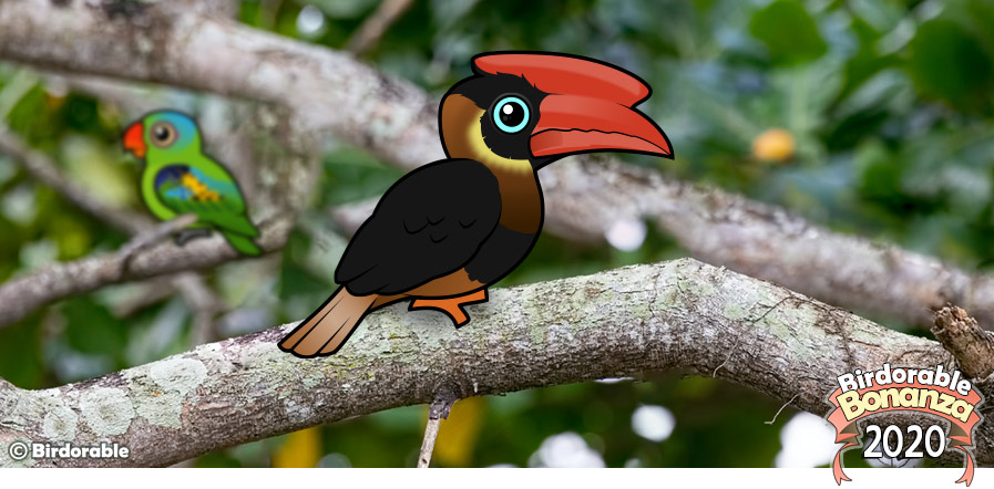 Birdorable Rufous Hornbill