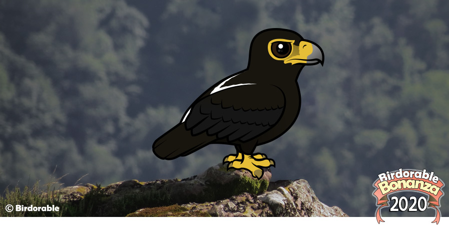 Birdorable Verreaux's Eagle
