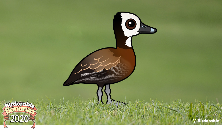 Birdorable White-Faced Whistling-Duck