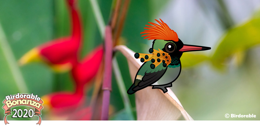 Birdorable Tufted Coquette