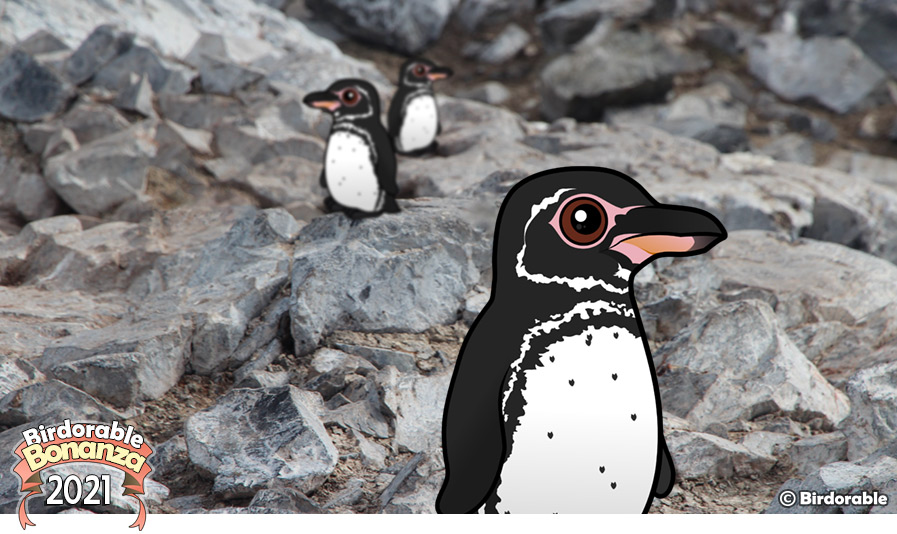 Birdorable Galapagos Penguin