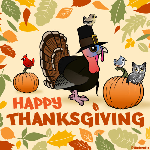 Happy Thanksgiving Birdorable Wild Turkey