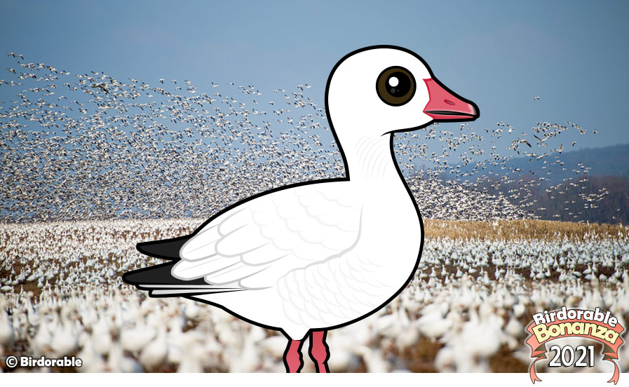Birdorable Snow Goose