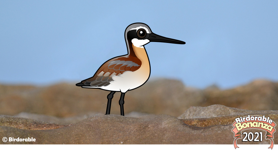 Birdorable Wilson's Phalarope