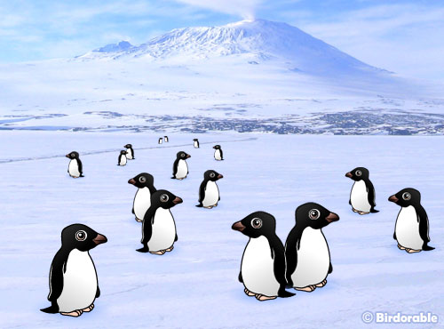 Birdorable Adelie Penguin