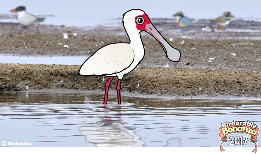 Birdorable African Spoonbill