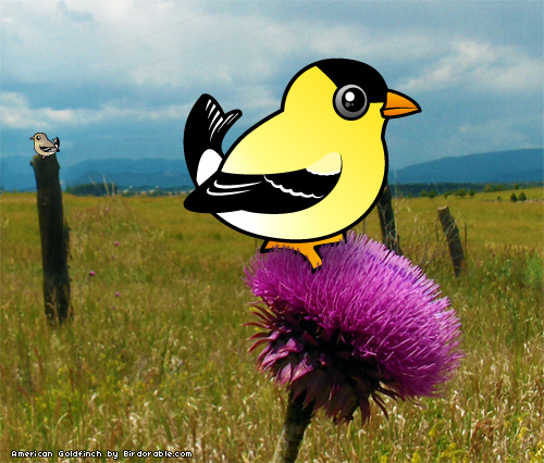 Birdorable American Goldfinch