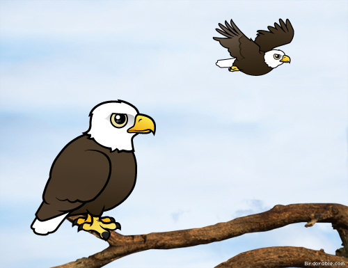 Birdorable Bald Eagle