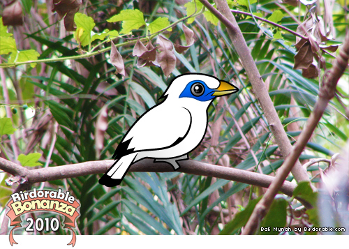 Birdorable Bali Mynah