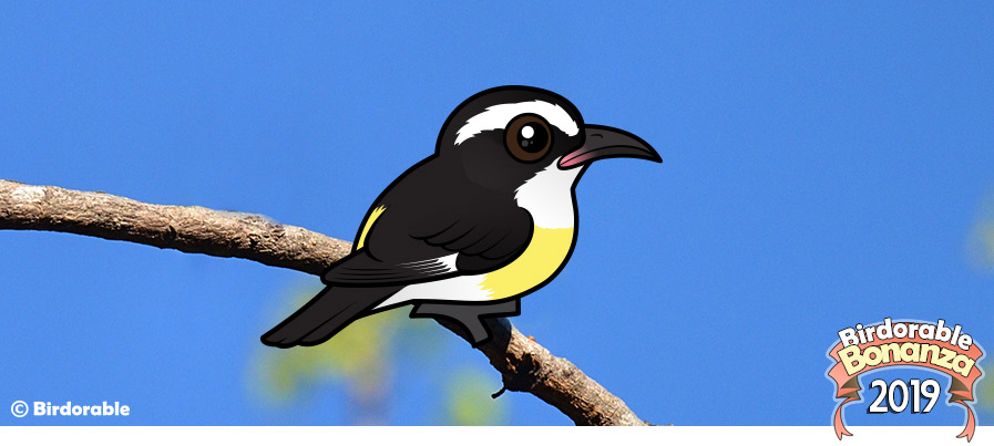 Birdorable Bananaquit