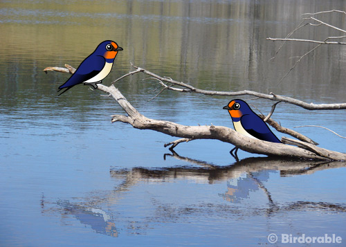 Birdorable Barn Swallows