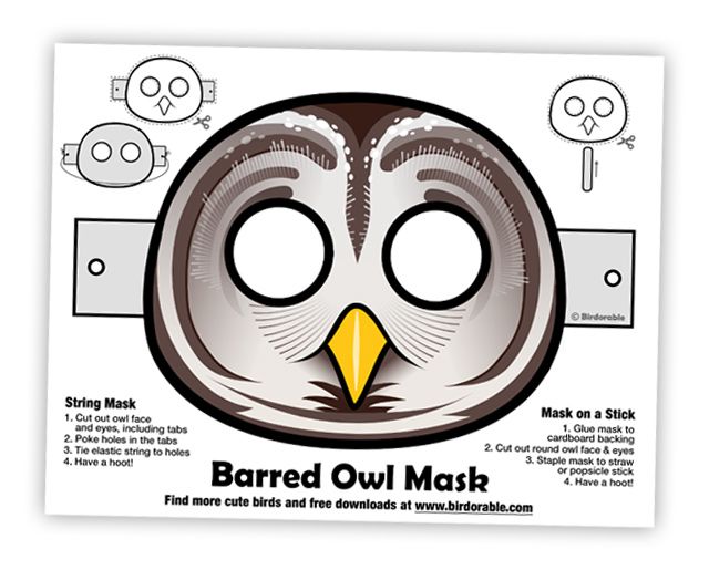 Fun Barred Owl Mask