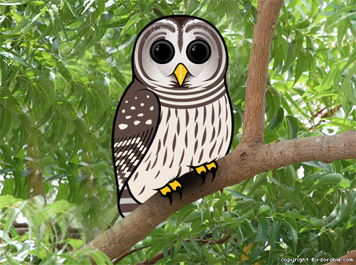 Birdorable Barred owl