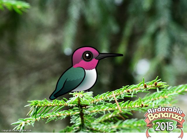 Birdorable Bee Hummingbird