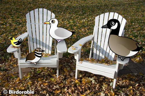 Team Birdorable at the Big Sit 2008