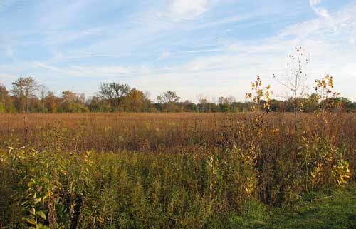 Prairie Wolf Slough