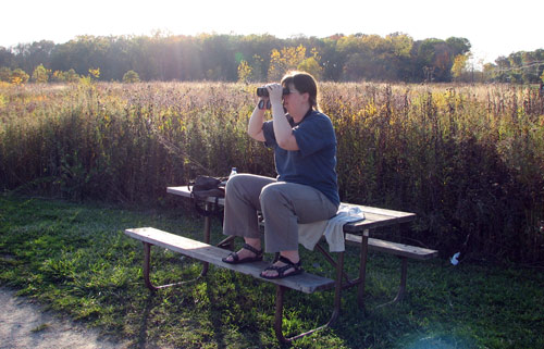 Prairie Wolf Slough