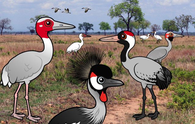 Birdorable cranes from around the world