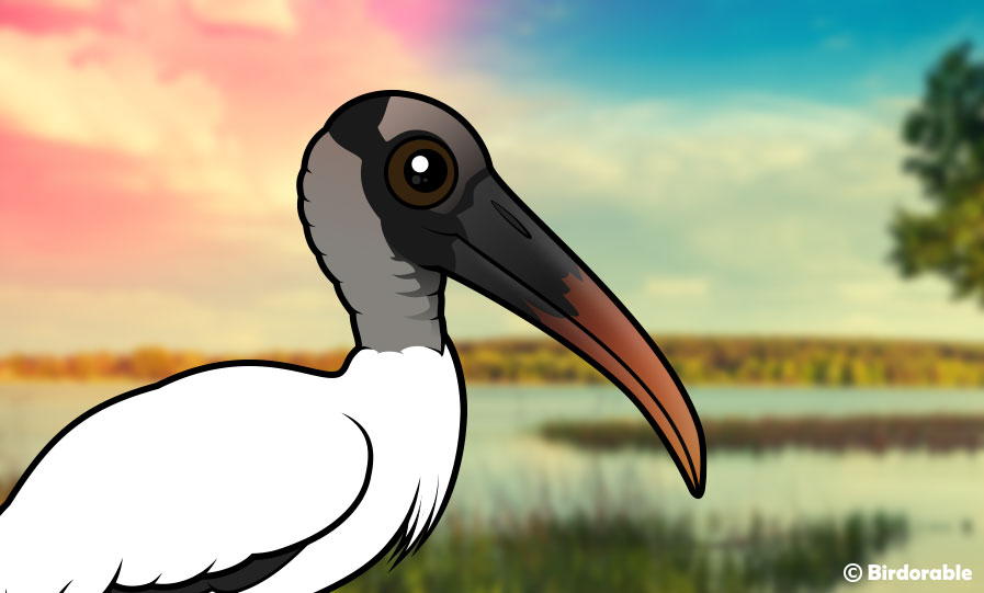 Birdorable Wood Stork